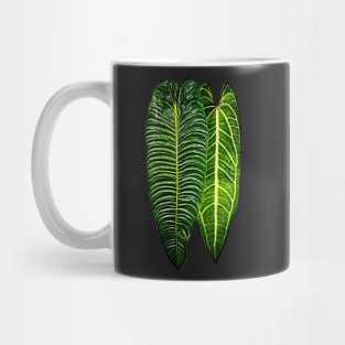 ANTHURIUM VEITCHII X WAROCQUEANUM Mug